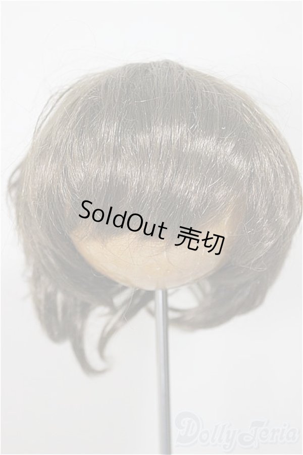画像1: 8.5-9inch/ウィッグ/インチ　BJD　MJD　ドール用 A-25-10-01-221-NY-ZA (1)