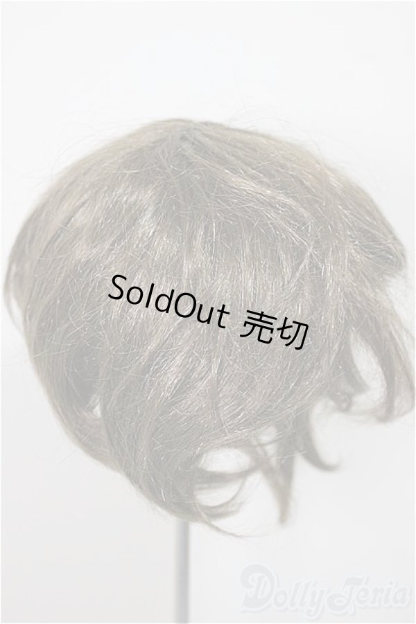 画像2: 8.5-9inch/ウィッグ/インチ　BJD　MJD　ドール用 A-25-10-01-221-NY-ZA (2)