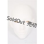 画像: FHSH doll/R.Dean　n.REI/BJD　球体関節人形 A-25-10-01-108-NY-ZA