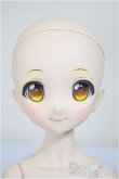 画像3: MDD/アルル 2nd Ver./BJD　球体関節人形 A-25-10-01-291-NY-ZA (3)
