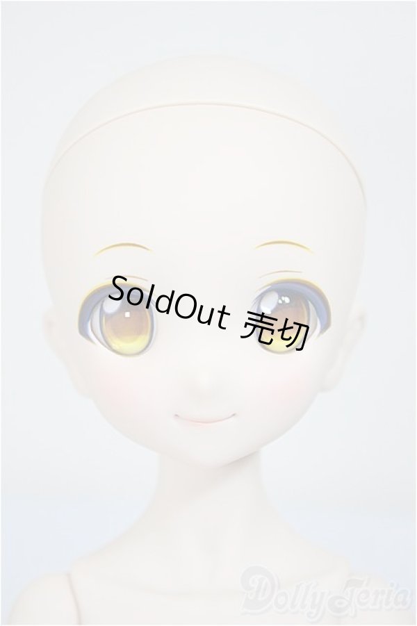 画像3: MDD/アルル 2nd Ver./BJD　球体関節人形 A-25-10-01-291-NY-ZA (3)