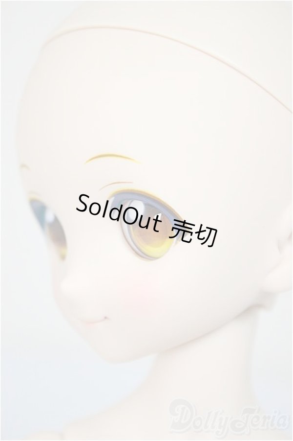 画像5: MDD/アルル 2nd Ver./BJD　球体関節人形 A-25-10-01-291-NY-ZA (5)