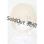 画像: PUYOODOLL/POCKET KUMAKO/ A-25-10-01-306-NY-ZA