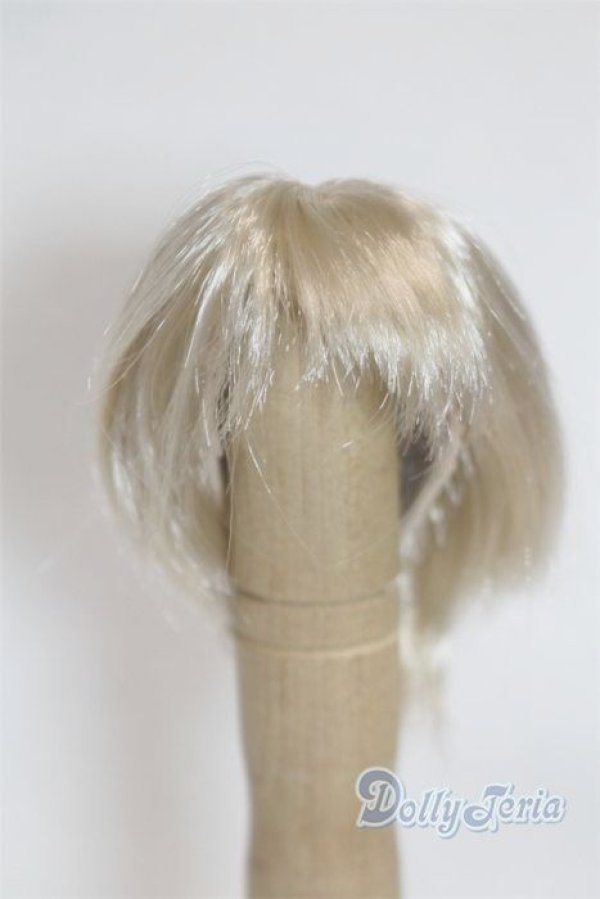 画像1: 6-7inch/ウィッグ/インチ　BJD　MJD　ドール用 A-25-10-08-080-NY-ZA (1)