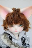 画像1: 【DOLK×DEAR MINE】/BENJAMIN Autumn leaves Limited ＜Special Reissue 2024＞/BJD　球体関節人形 A-25-10-01-312-NY-ZA (1)