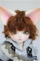 画像: 【DOLK×DEAR MINE】/BENJAMIN Autumn leaves Limited ＜Special Reissue 2024＞/BJD　球体関節人形 A-25-10-01-312-NY-ZA