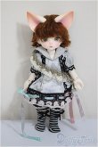 画像5: 【DOLK×DEAR MINE】/BENJAMIN Autumn leaves Limited ＜Special Reissue 2024＞/BJD　球体関節人形 A-25-10-01-312-NY-ZA (5)