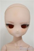 画像1: MDD/一体型アセクシャルタイプ・DC-H-17ヘッド/BJD　球体関節人形 A-25-10-01-317-NY-ZA (1)