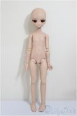 画像4: MDD/一体型アセクシャルタイプ・DC-H-17ヘッド/BJD　球体関節人形 A-25-10-01-317-NY-ZA (4)