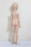 画像5: MDD/一体型アセクシャルタイプ・DC-H-17ヘッド/BJD　球体関節人形 A-25-10-01-317-NY-ZA (5)
