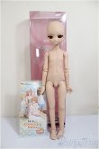 画像6: MDD/一体型アセクシャルタイプ・DC-H-17ヘッド/BJD　球体関節人形 A-25-10-01-317-NY-ZA (6)