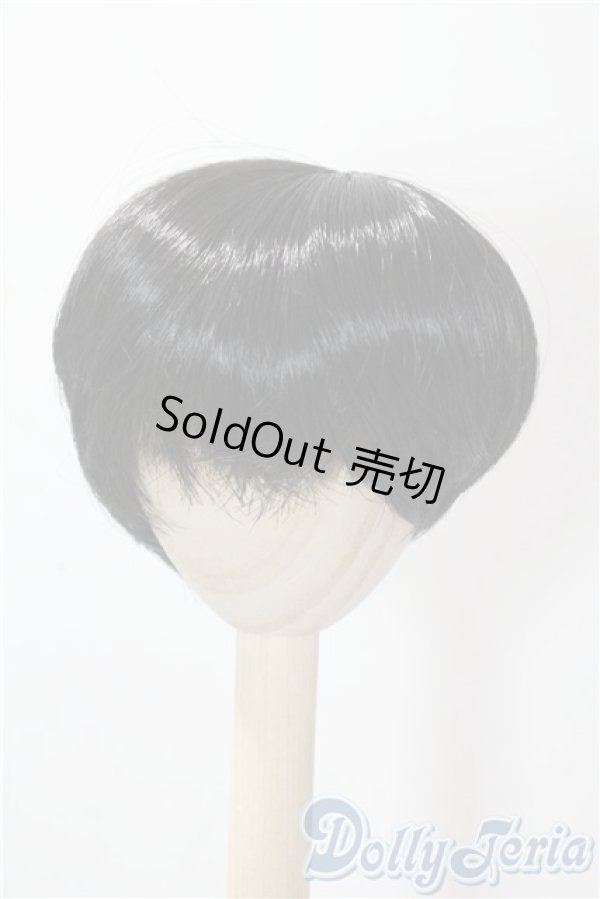 画像1: 8-9inch/ウィッグ U-25-10-14-052-NY-ZU (1)