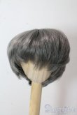 画像1: 8-9inch/ウィッグ U-25-10-21-040-NY-ZU (1)