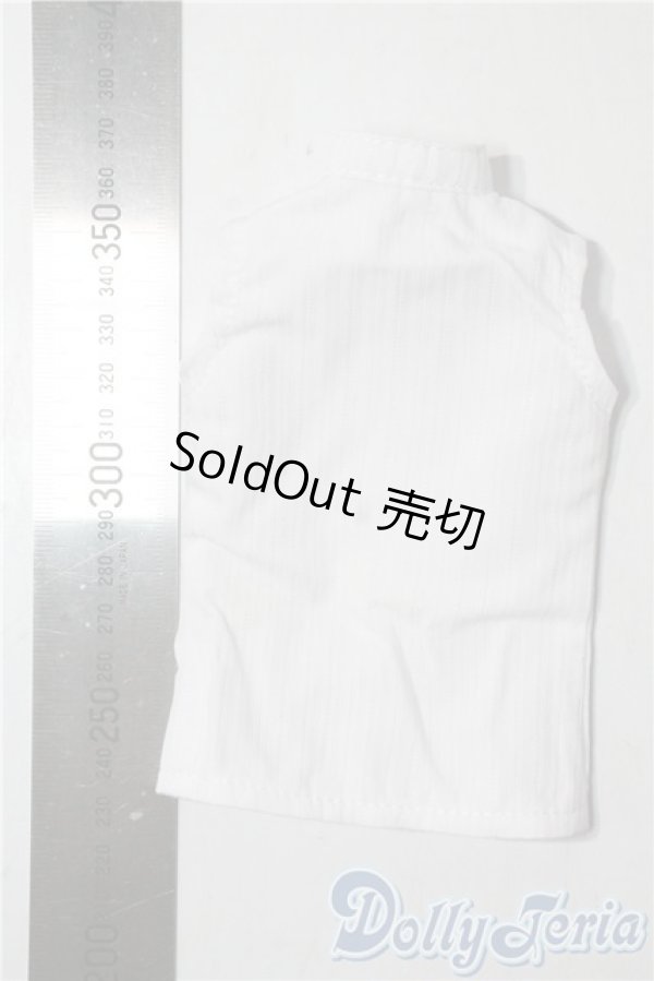 画像2: SDM＆MSD/OF:トップス U-25-10-07-057-NY-ZU (2)