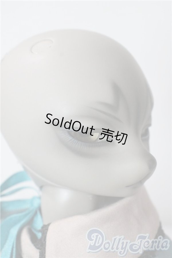 画像3: DEAR MINE/DUNE Cool ver. Grey skin ~Russian Blue~ A-25-10-08-1092-NY-ZU (3)