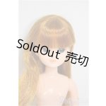 画像: 3代目リカちゃん/本体/BJD 球体関節人形 A-25-10-01-329-NY-ZA