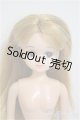 画像: リカちゃん/本体/BJD　球体関節人形 A-25-10-01-331-NY-ZA