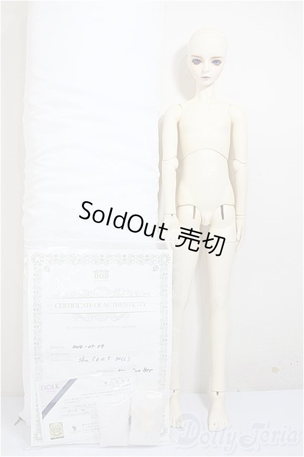 画像8: DOD/DOT:Sha/ A-25-10-08-301-NY-ZA (8)