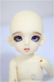 画像1: BJD CROBI/E-Line Ara/0 A-25-10-08-302-NY-ZA (1)