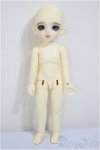 画像4: BJD CROBI/E-Line Ara/0 A-25-10-08-302-NY-ZA (4)