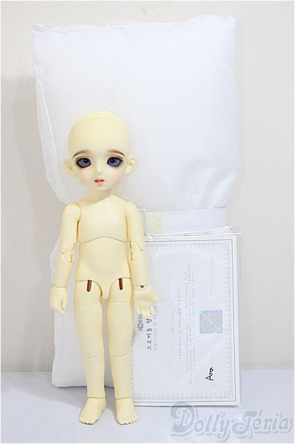 画像6: BJD CROBI/E-Line Ara/0 A-25-10-08-302-NY-ZA (6)