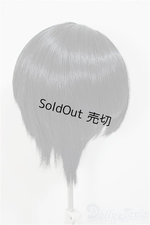 画像2: 8.5-9inch/ウィッグ/インチ　BJD　MJD　ドール用 A-25-11-19-398-NY-ZA (2)