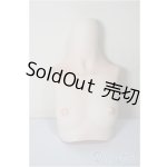 画像: MDD/上半身カスタムパーツ S胸/ A-25-10-08-492-NY-ZA