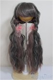 画像1: 8-9inch/ウィッグ　みさんとるーぷ 様製/インチ　BJD　MJD　ドール用 A-25-10-08-192-NY-ZA (1)
