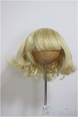 画像1: 8-9inch/ウィッグ/インチ　BJD　MJD　ドール用 A-25-10-08-201-NY-ZA (1)