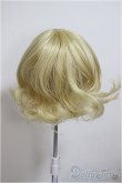 画像2: 8-9inch/ウィッグ/インチ　BJD　MJD　ドール用 A-25-10-08-201-NY-ZA (2)