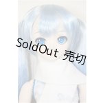 画像: DD/雪ミク初版/BJD 球体関節人形 A-25-10-08-291-NY-ZA