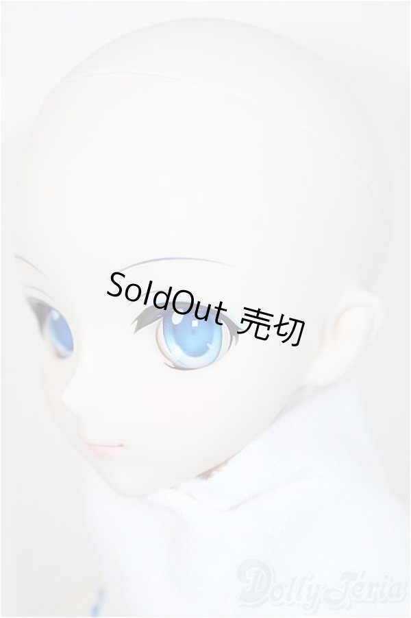 画像4: DD/雪ミク初版/BJD　球体関節人形 A-25-10-08-291-NY-ZA (4)