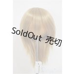 画像: 6-7inch/ウィッグ　BJD　CROBI製/1/3　60ｃｍ　BJD　MJD　衣装　ドール用 A-25-10-08-311-NY-ZA