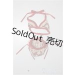 画像: 24cmサイズドール/OF:衣装/0 A-25-10-08-439-NY-ZA