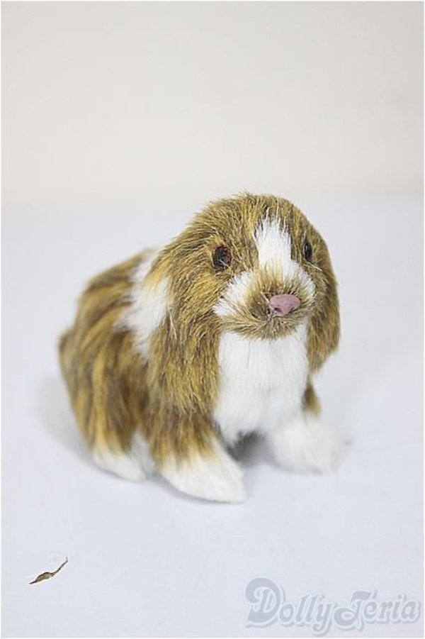 画像1: 1/6サイズドール/ミニチュア/ A-25-10-08-437-NY-ZA (1)