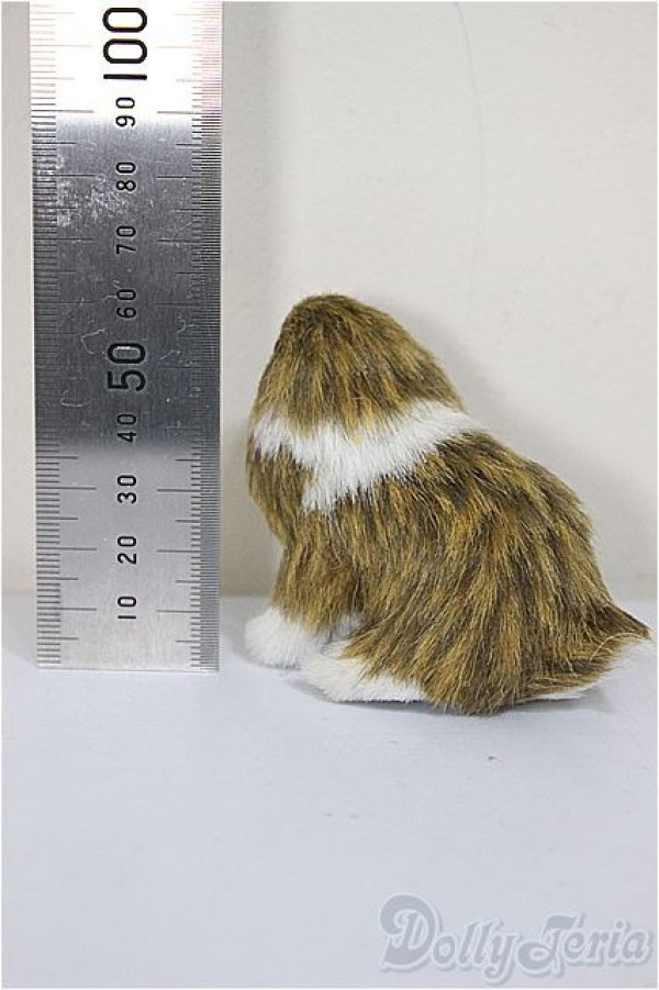 画像2: 1/6サイズドール/ミニチュア/ A-25-10-08-437-NY-ZA (2)