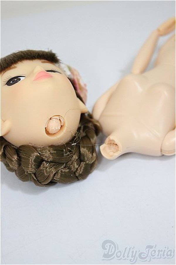 画像4: 内藤ルネドール/小春/ A-25-10-08-474-NY-ZA (4)