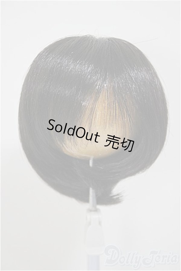 画像1: 9-10inch/ウィッグ/インチ　BJD　MJD　ドール用 A-25-10-08-403-NY-ZA (1)