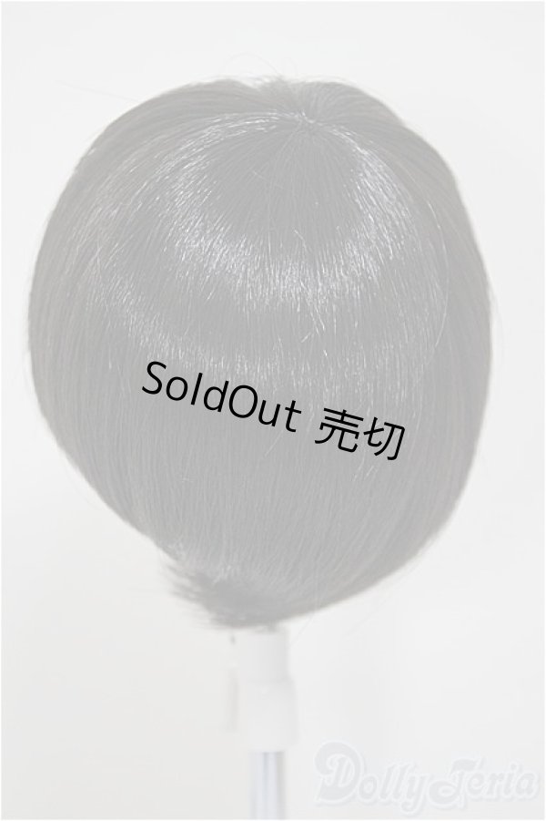 画像2: 9-10inch/ウィッグ/インチ　BJD　MJD　ドール用 A-25-10-08-403-NY-ZA (2)