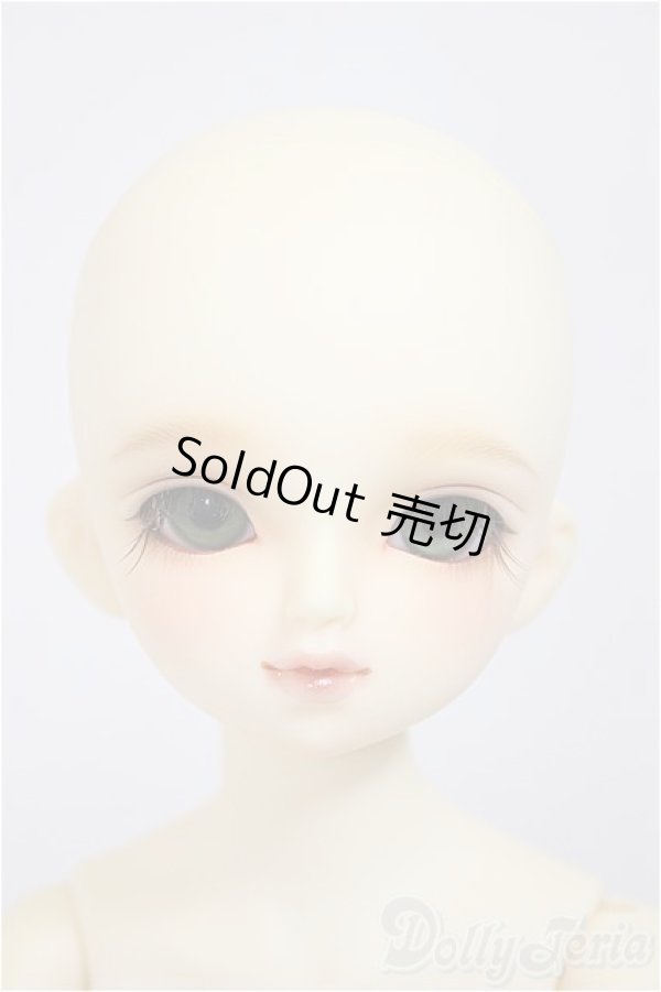 画像2: MSDGIRL/コーディネイトモデルF-29/BJD　球体関節人形 A-25-10-22-184-NY-ZA (2)
