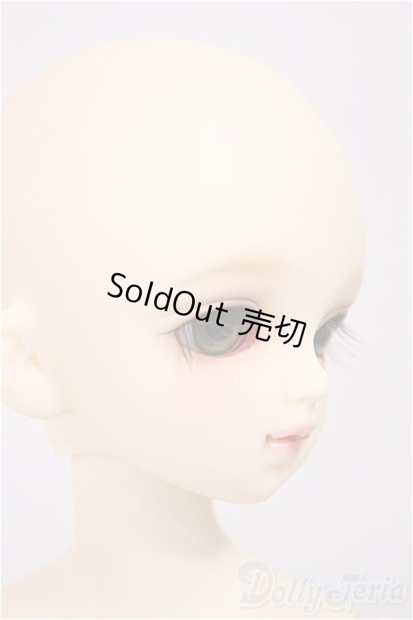 画像3: MSDGIRL/コーディネイトモデルF-29/BJD　球体関節人形 A-25-10-22-184-NY-ZA (3)