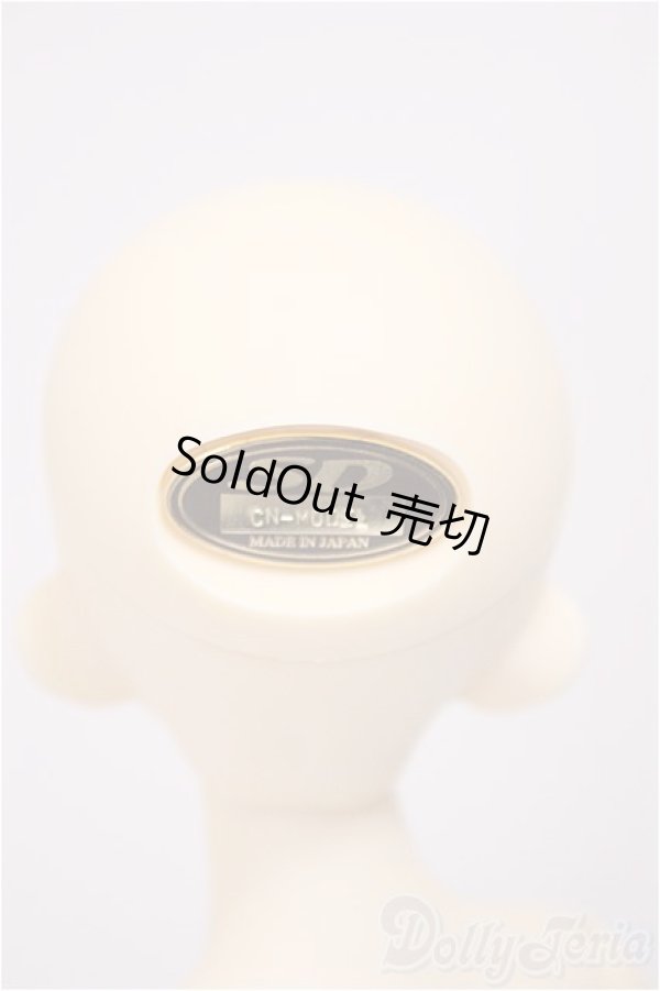 画像5: MSDGIRL/コーディネイトモデルF-29/BJD　球体関節人形 A-25-10-22-184-NY-ZA (5)