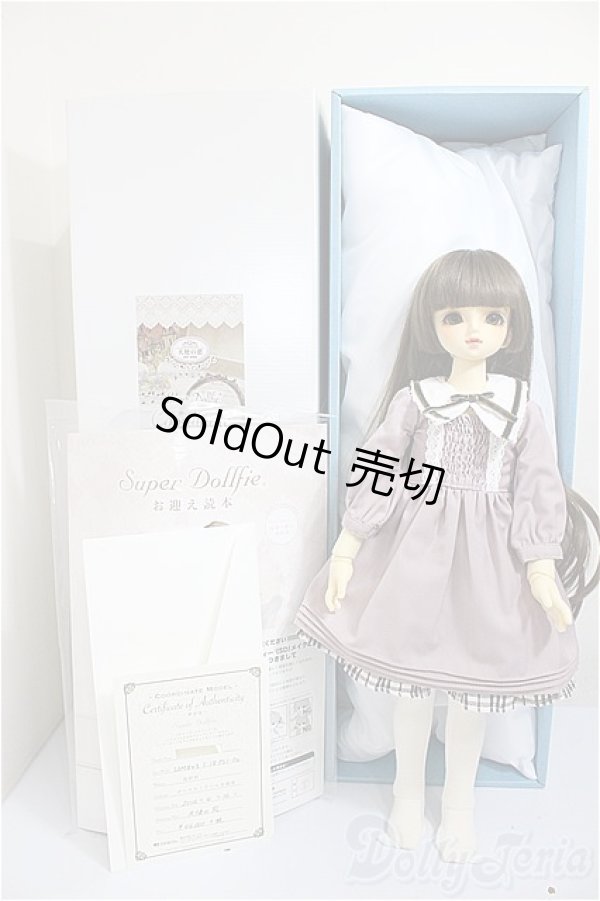画像8: MSDGIRL/コーディネイトモデルF-29/BJD　球体関節人形 A-25-10-22-184-NY-ZA (8)