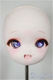 画像1: DDH-01/開口カスタムヘッド/BJD　球体関節人形 A-25-10-15-115-NY-ZA (1)