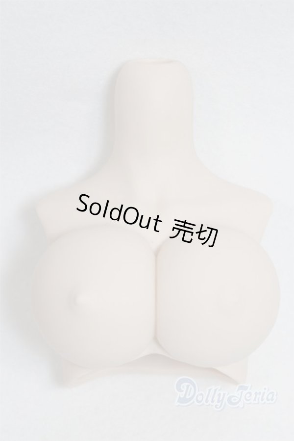 画像1: DDｄｙ/上半身パーツ/0 A-25-10-15-055-NY-ZA (1)