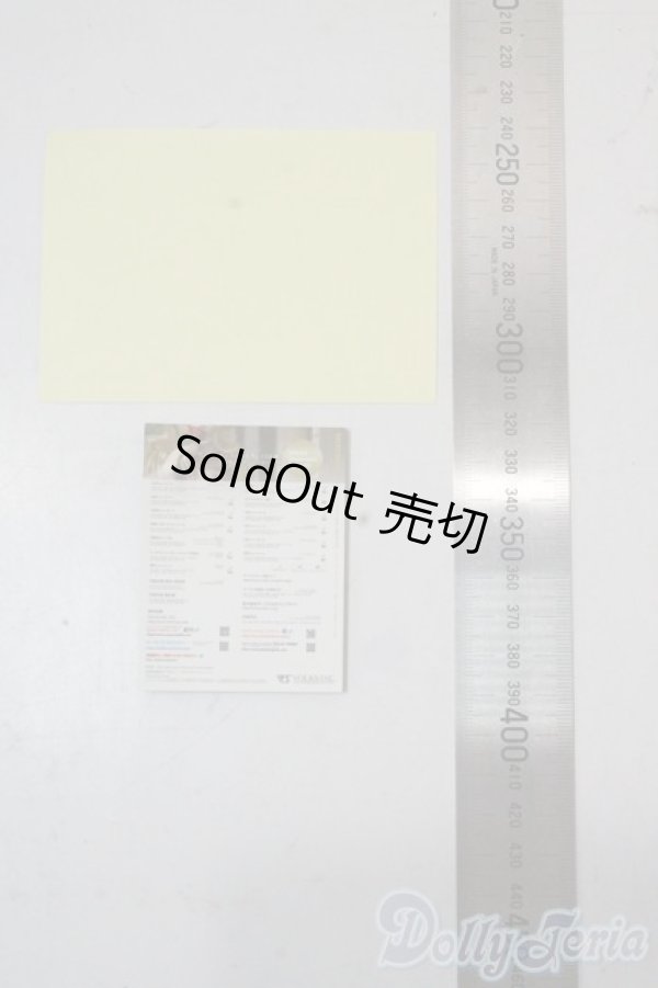 画像2: SD/豆本 U-25-10-21-198-NY-ZU (2)