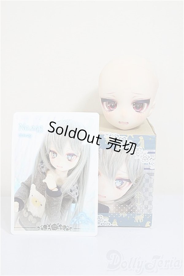 画像4: DDH-29/深海カンテラ様カスタム/BJD　球体関節人形 A-25-10-15-161-NY-ZA (4)