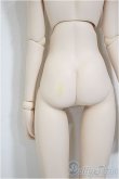画像3: DDSB/ベースボディ/BJD　球体関節人形 A-25-10-15-154-NY-ZA (3)