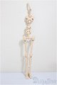 画像: MDDF3/内部パーツ/BJD　球体関節人形 A-25-10-15-159-NY-ZA