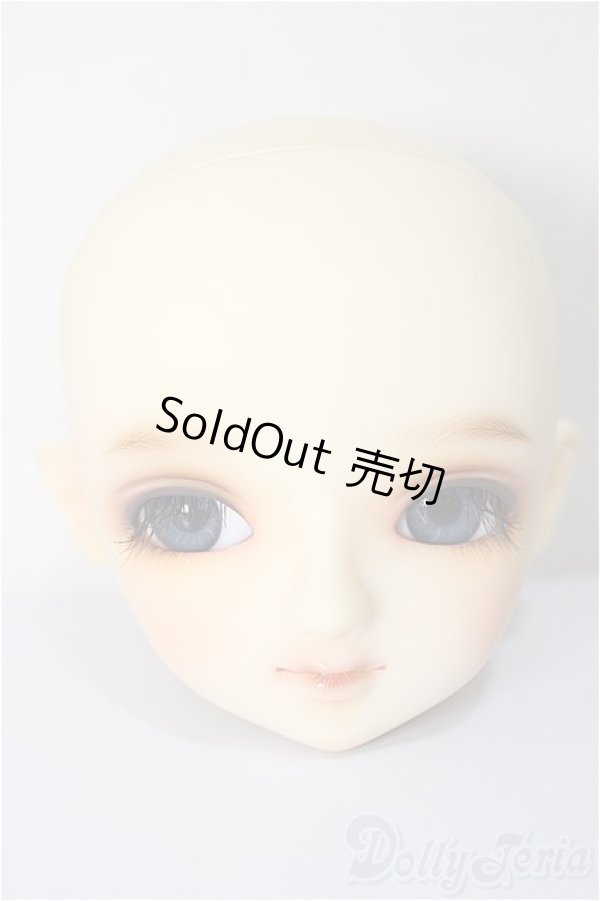 画像1: SD女の子/ローゼ　ワンオフヘッド：aone様 A-25-10-15-379-NY-ZA (1)